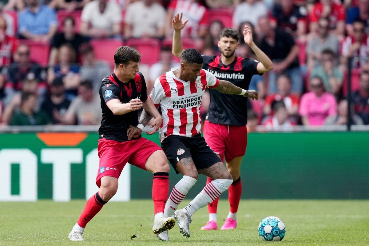 积极贡献 积极贡献