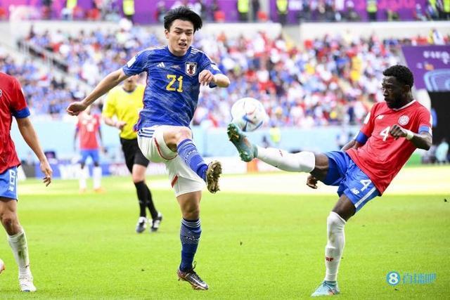 数年轻选手 数年轻选手