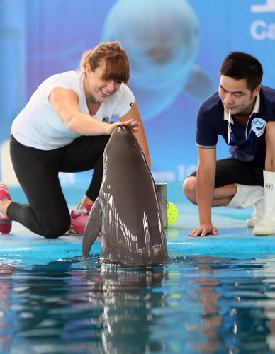 球将成绩拉 球将成绩拉