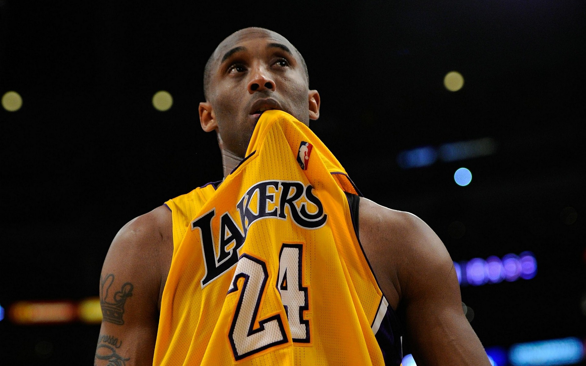 们会带来更 们会带来更